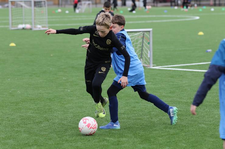 klik hier voor de originele foto (320kB - 1600x1067)