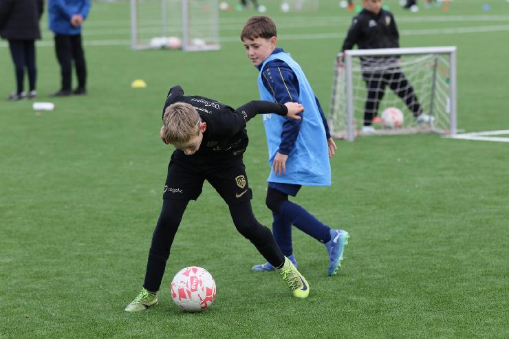 klik hier voor de originele foto (287kB - 1600x1067)