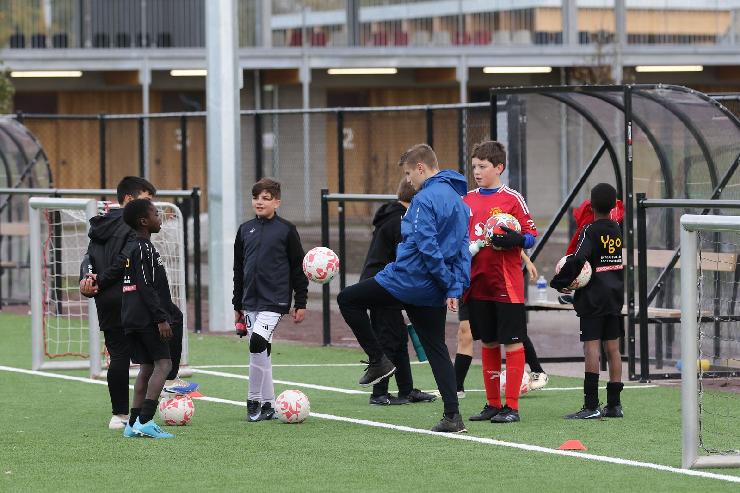 klik hier voor de originele foto (375kB - 1600x1067)