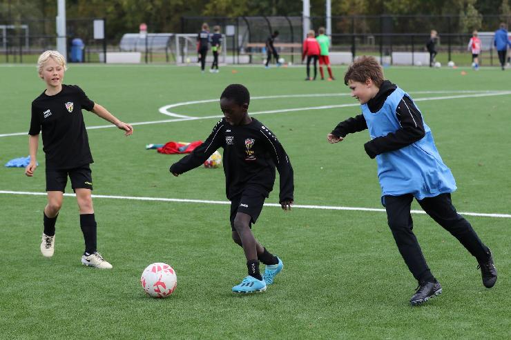 klik hier voor de originele foto (379kB - 1600x1067)