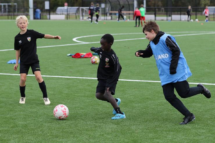 klik hier voor de originele foto (383kB - 1600x1067)