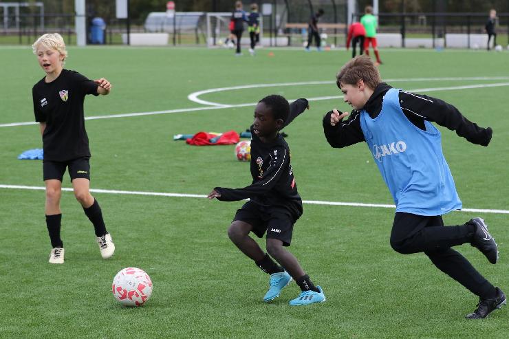 klik hier voor de originele foto (350kB - 1600x1067)