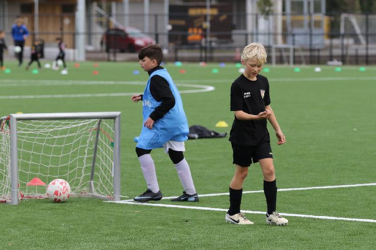 klik hier voor de originele foto (312kB - 1600x1067)