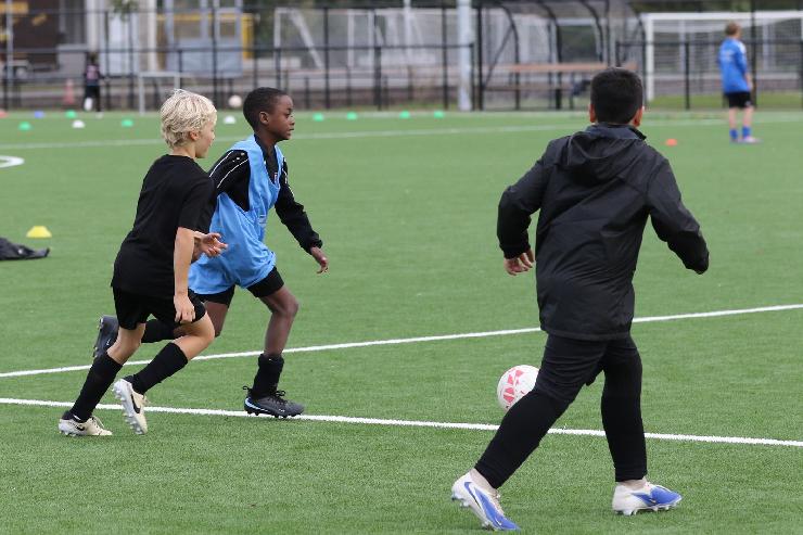 klik hier voor de originele foto (348kB - 1600x1067)