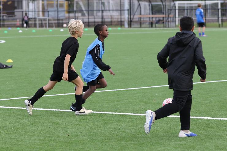 klik hier voor de originele foto (322kB - 1600x1067)