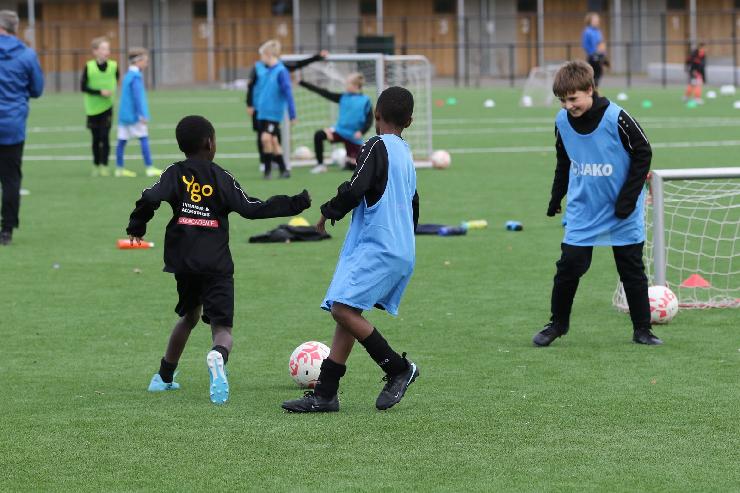 klik hier voor de originele foto (361kB - 1600x1067)