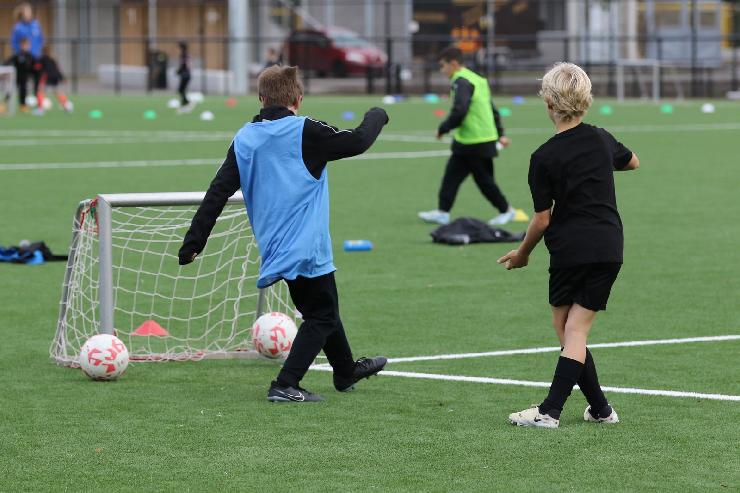 klik hier voor de originele foto (321kB - 1600x1067)