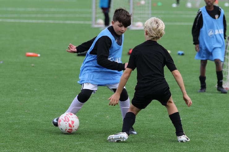 klik hier voor de originele foto (282kB - 1600x1067)