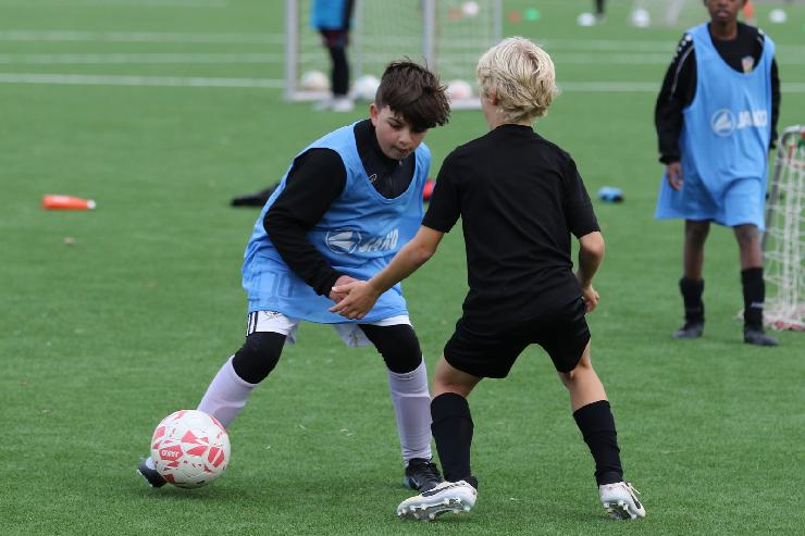 klik hier voor de originele foto (273kB - 1600x1067)