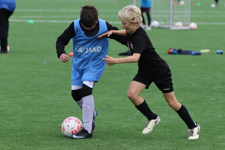 klik hier voor de originele foto (301kB - 1600x1067)