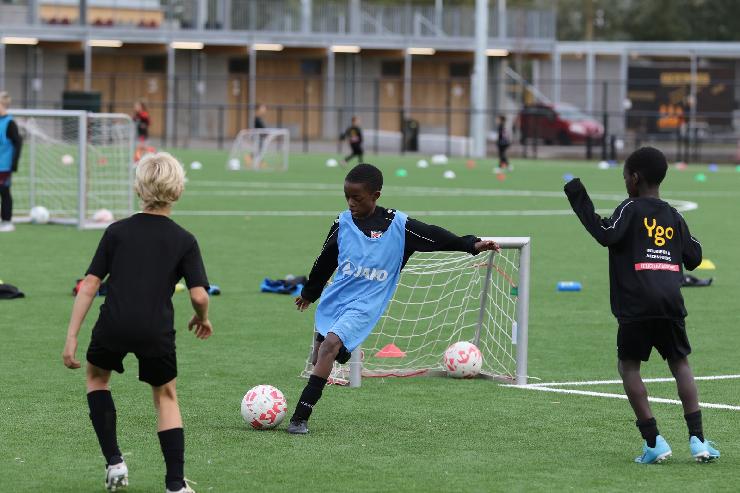 klik hier voor de originele foto (315kB - 1600x1067)