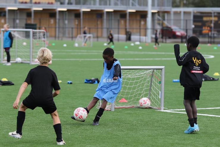 klik hier voor de originele foto (314kB - 1600x1067)