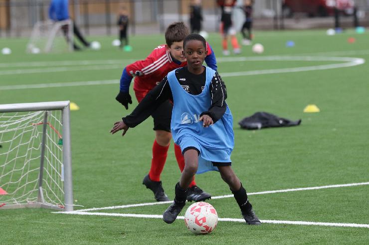 klik hier voor de originele foto (304kB - 1600x1067)