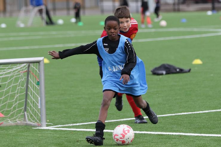 klik hier voor de originele foto (281kB - 1600x1067)