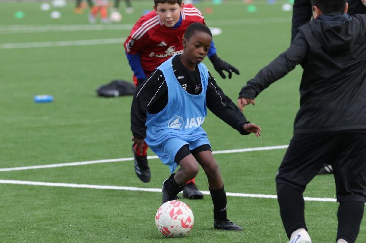 klik hier voor de originele foto (275kB - 1600x1067)