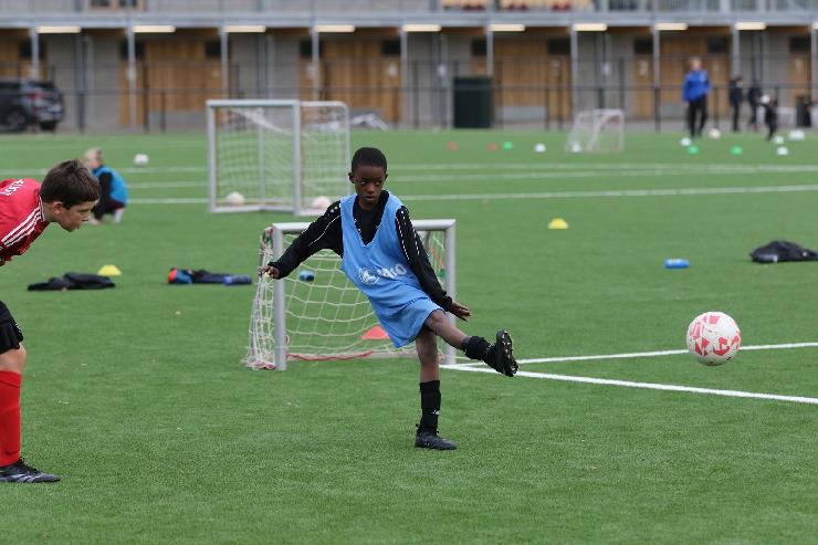 klik hier voor de originele foto (316kB - 1600x1067)