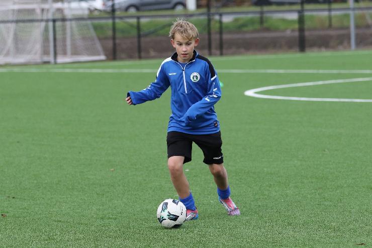 klik hier voor de originele foto (322kB - 1600x1067)