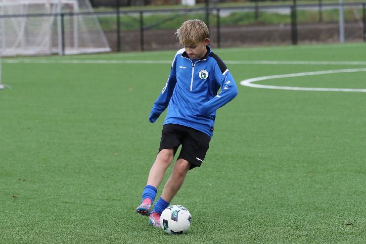 klik hier voor de originele foto (316kB - 1600x1067)