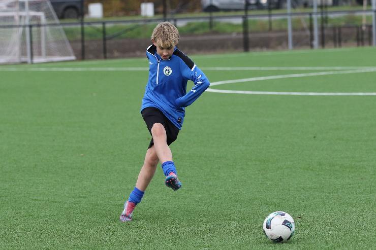 klik hier voor de originele foto (329kB - 1600x1067)