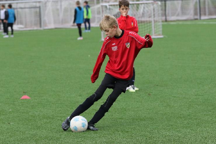 klik hier voor de originele foto (314kB - 1600x1067)