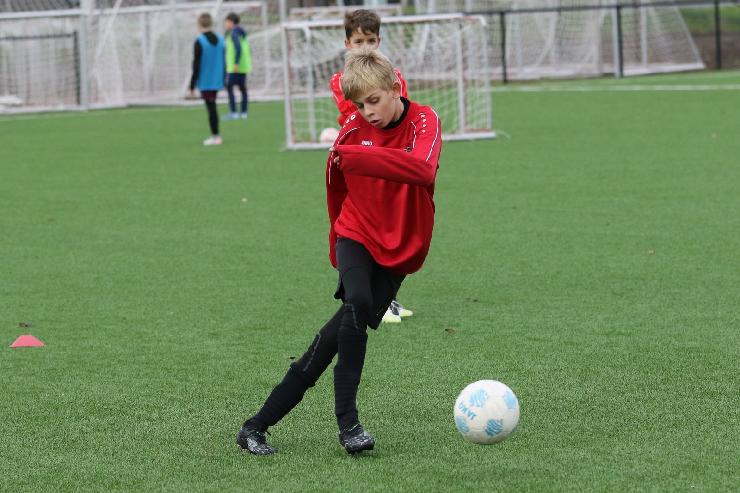 klik hier voor de originele foto (365kB - 1600x1067)