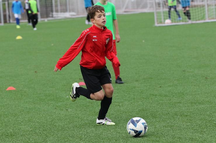 klik hier voor de originele foto (338kB - 1600x1067)