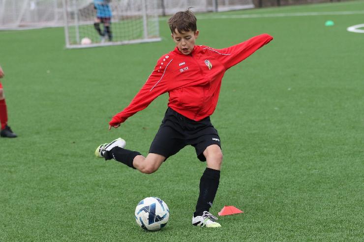 klik hier voor de originele foto (312kB - 1600x1067)