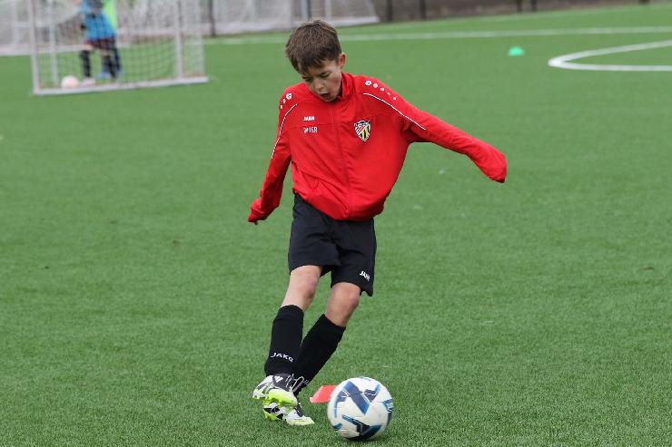 klik hier voor de originele foto (312kB - 1600x1067)