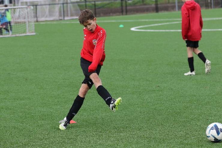 klik hier voor de originele foto (355kB - 1600x1067)