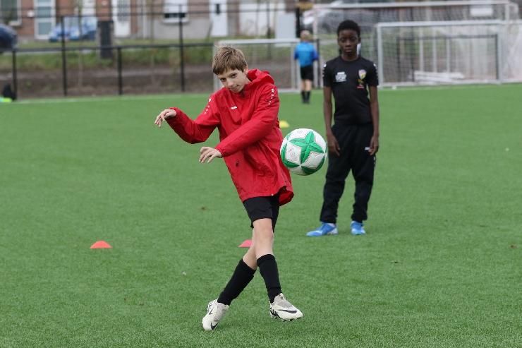 klik hier voor de originele foto (297kB - 1600x1067)