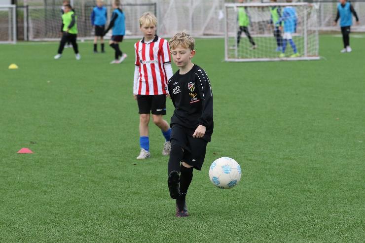 klik hier voor de originele foto (356kB - 1600x1067)