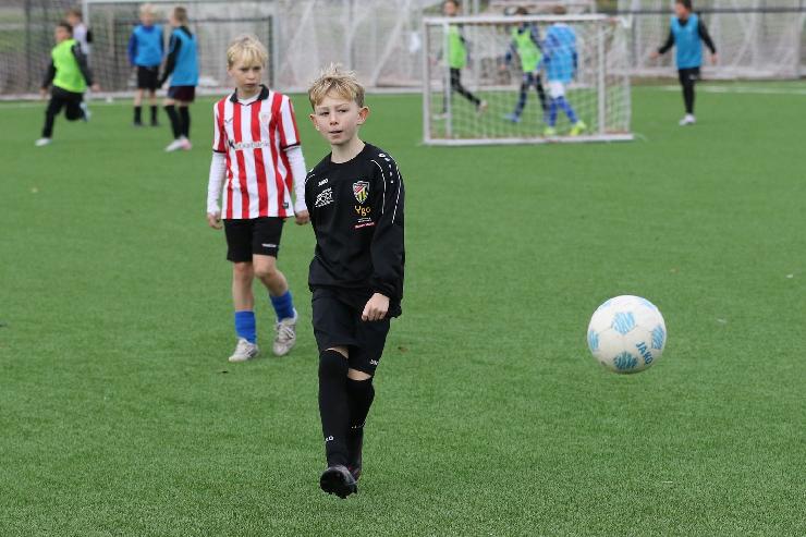 klik hier voor de originele foto (355kB - 1600x1067)