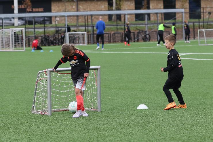 klik hier voor de originele foto (411kB - 1600x1067)