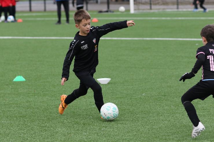 klik hier voor de originele foto (333kB - 1600x1067)