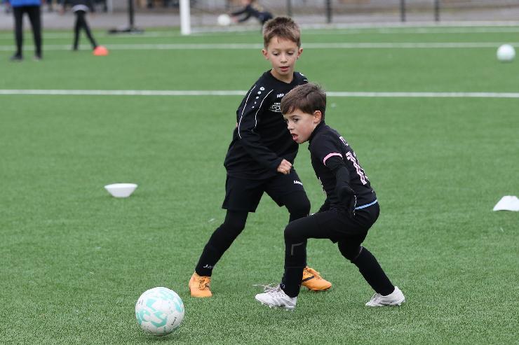 klik hier voor de originele foto (327kB - 1600x1067)