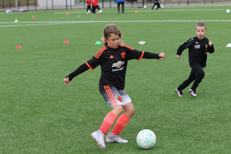 klik hier voor de originele foto (395kB - 1600x1067)