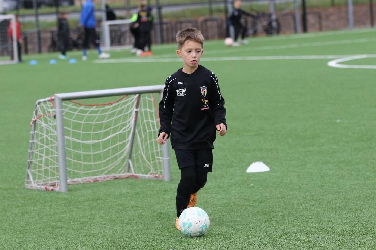 klik hier voor de originele foto (301kB - 1600x1067)