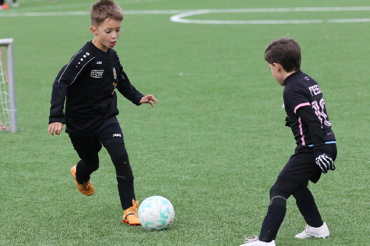 klik hier voor de originele foto (342kB - 1600x1067)