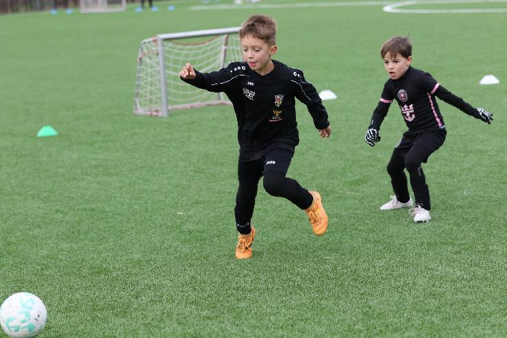 klik hier voor de originele foto (379kB - 1600x1067)