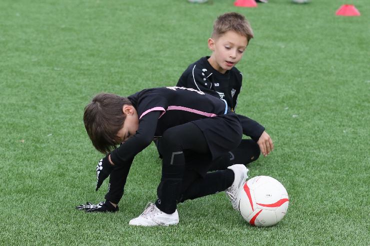 klik hier voor de originele foto (384kB - 1600x1067)