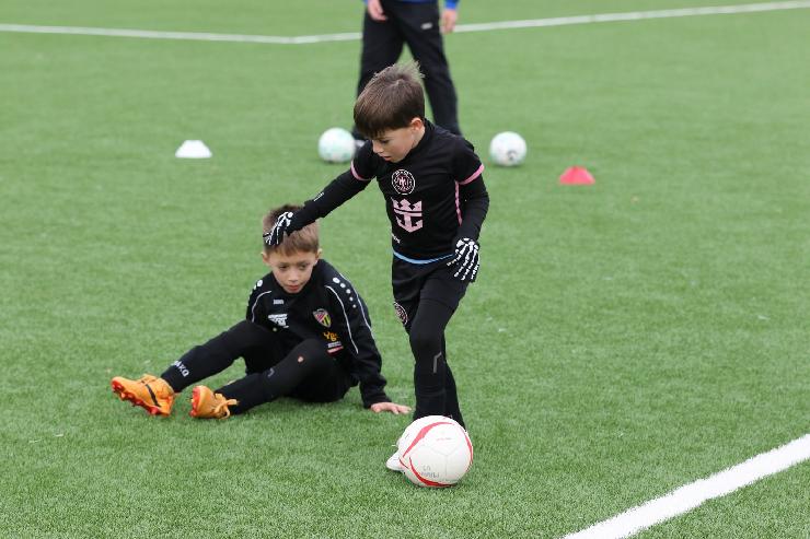 klik hier voor de originele foto (318kB - 1600x1067)