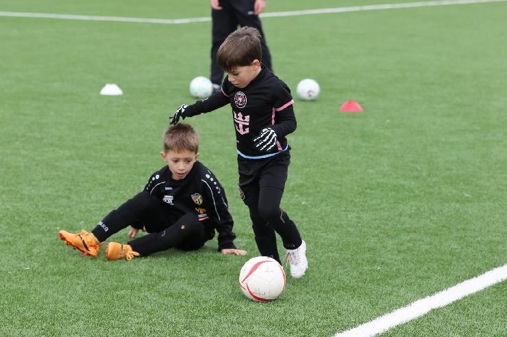 klik hier voor de originele foto (324kB - 1600x1067)