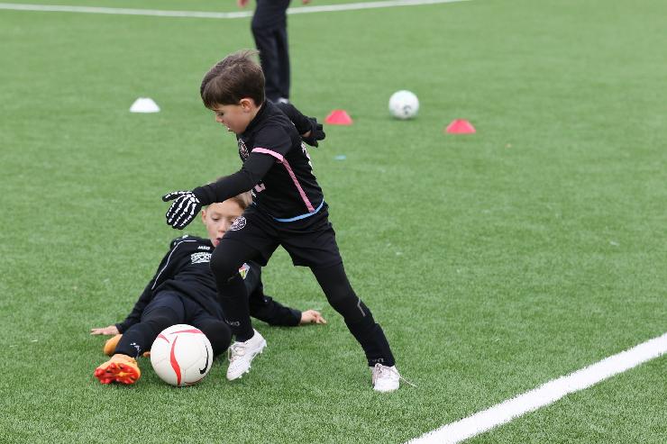 klik hier voor de originele foto (342kB - 1600x1067)