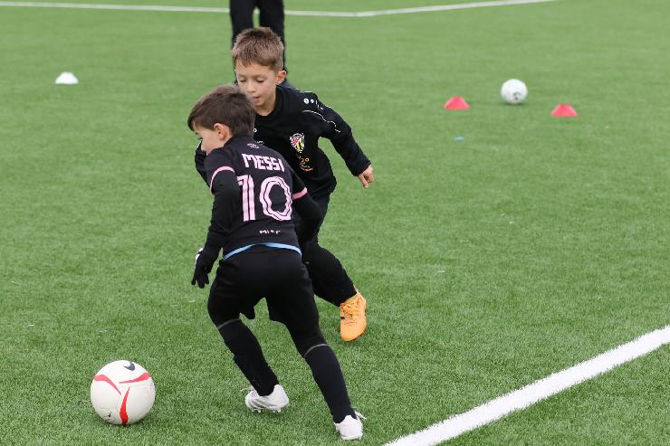 klik hier voor de originele foto (377kB - 1600x1067)