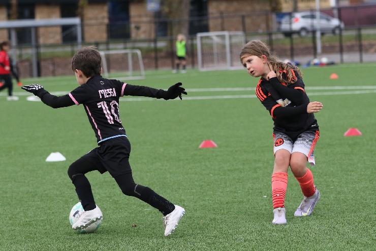 klik hier voor de originele foto (339kB - 1600x1068)