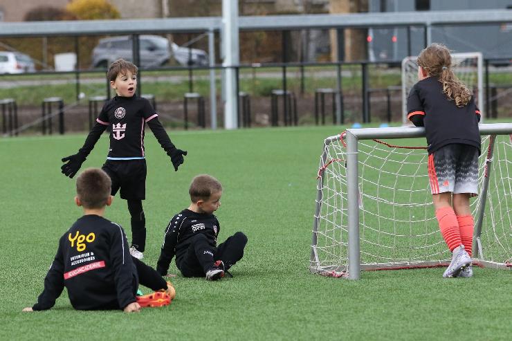 klik hier voor de originele foto (359kB - 1600x1067)