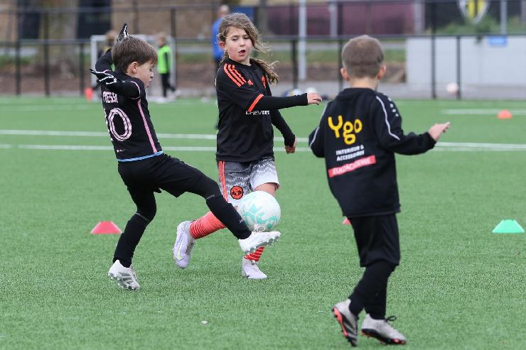 klik hier voor de originele foto (336kB - 1600x1067)