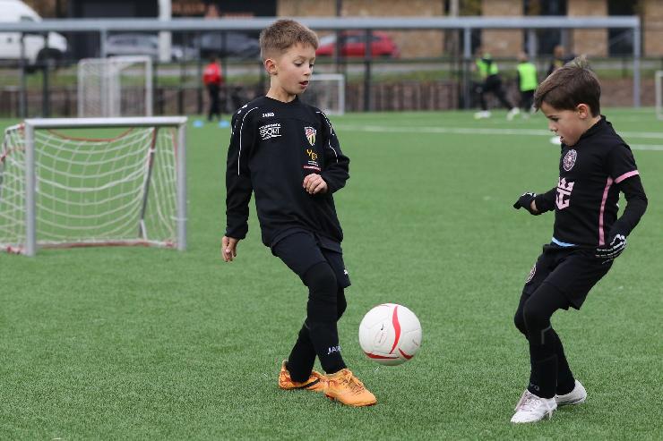 klik hier voor de originele foto (347kB - 1600x1068)