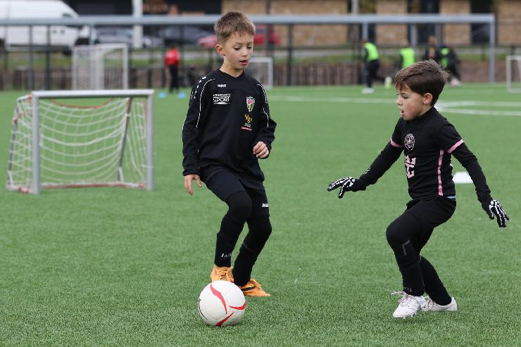 klik hier voor de originele foto (350kB - 1600x1067)