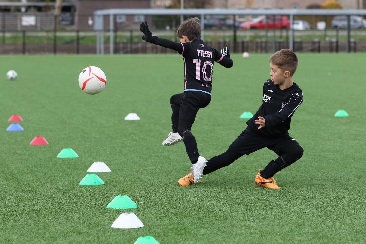 klik hier voor de originele foto (351kB - 1600x1067)